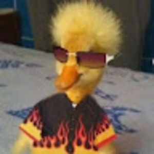 Meet your Posher, Jaiden